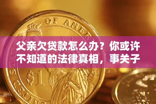 济南父亲欠贷款怎么办？你或许不知道的法律真相，事关子女未来