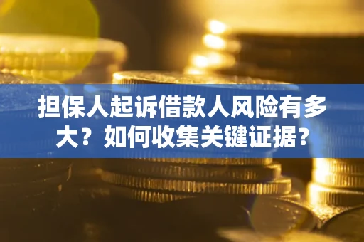 济南担保人起诉借款人风险有多大？如何收集关键证据？