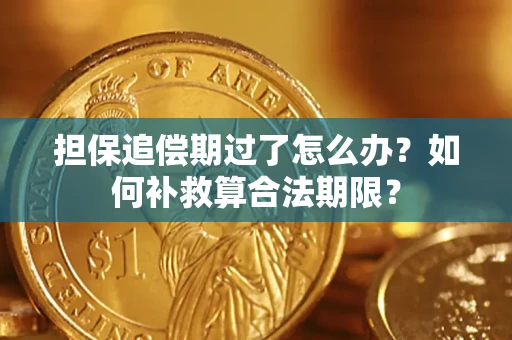 济南担保追偿期过了怎么办？如何补救算合法期限？