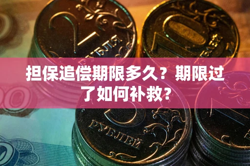 济南担保追偿期限多久？期限过了如何补救？