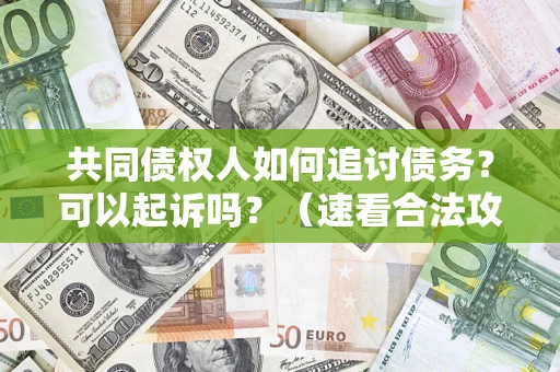 济南共同债权人如何追讨债务？可以起诉吗？（速看合法攻略）